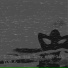 808LK