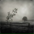 ANNA SVET