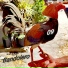 yamarada beiby feat. Keton el tigre