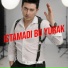 Alisher zokirov
