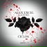 Alex Excel & Alex Feel