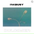 I'm.Busy, Flow State Records