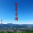 王小娟