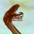B Ø Ø Ӎ