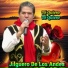 Jilguero De Los Andes