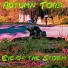 Autumn Toad