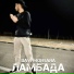 Davi Montana