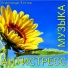 Александр Кэтлин