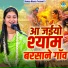 Braj Nidhi