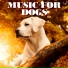 Dog Music