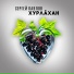 С. Павлов