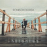 Ronison Borba