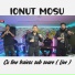 Ionut Mosu