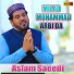 Aslam Saeedi