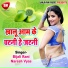 Bijali Rani, Naresh Vyas