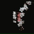 Twoxi