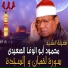 Al Sheikh Mahmoud Abo Al Wafa Al Seidy