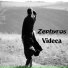 Videca