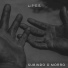 Lipee Oficial