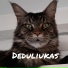 Deduliukas