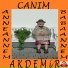Akdemir