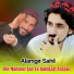 Alamgir Sahil