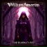 Willian Amorim