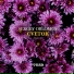 Oblomov