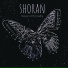 Shoran