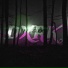 flzzlfx