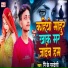Pk Pardeshi