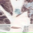 Polar