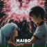 HAIBO