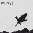 Murky