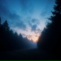 sxdløve