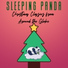 Sleeping Panda