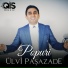 Ülvi Paşazade