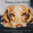 RelaxMyDog, Dog Music Zone, Puppy Music Therapy
