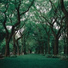 Rain Sounds John feat. Relaxing Sounds of Rain