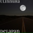 Ulinnuha