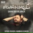 Syed Raza Abbas Zaidi