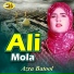 Azra Batool