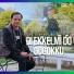 Dompak Sinaga