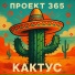 Проект 365