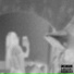Tripkidd