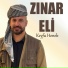Zınar Eli