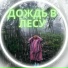 Музыка для дождливого дня на природе