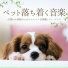 犬の鼓腹