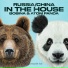 Bobina, Atom Panda