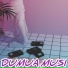 DUMA MUSI